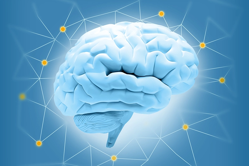 Beitragsbild, Produkte, WSNet Central Cockpit