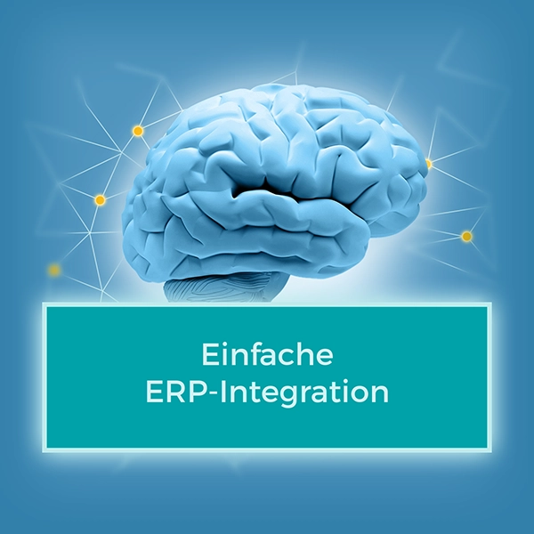 Einfache ERP-Integration WSNet Central Cockpit, Nutzen Galerie Produkte, Karussell Nutzen