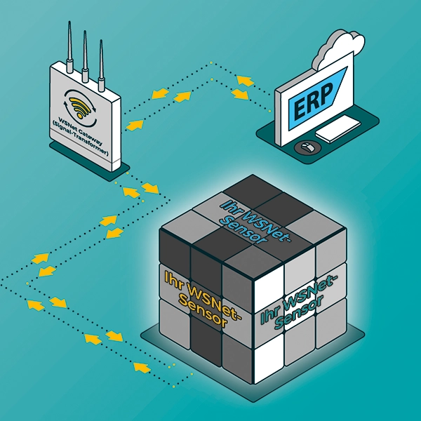 Grafik WSNet individuelle Produktentwicklung Desktop
