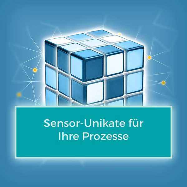 Sensor-Unikate, WSNet individuelle Produktentwicklung, Nutzen Galerie Produkte, Karussell Nutzen